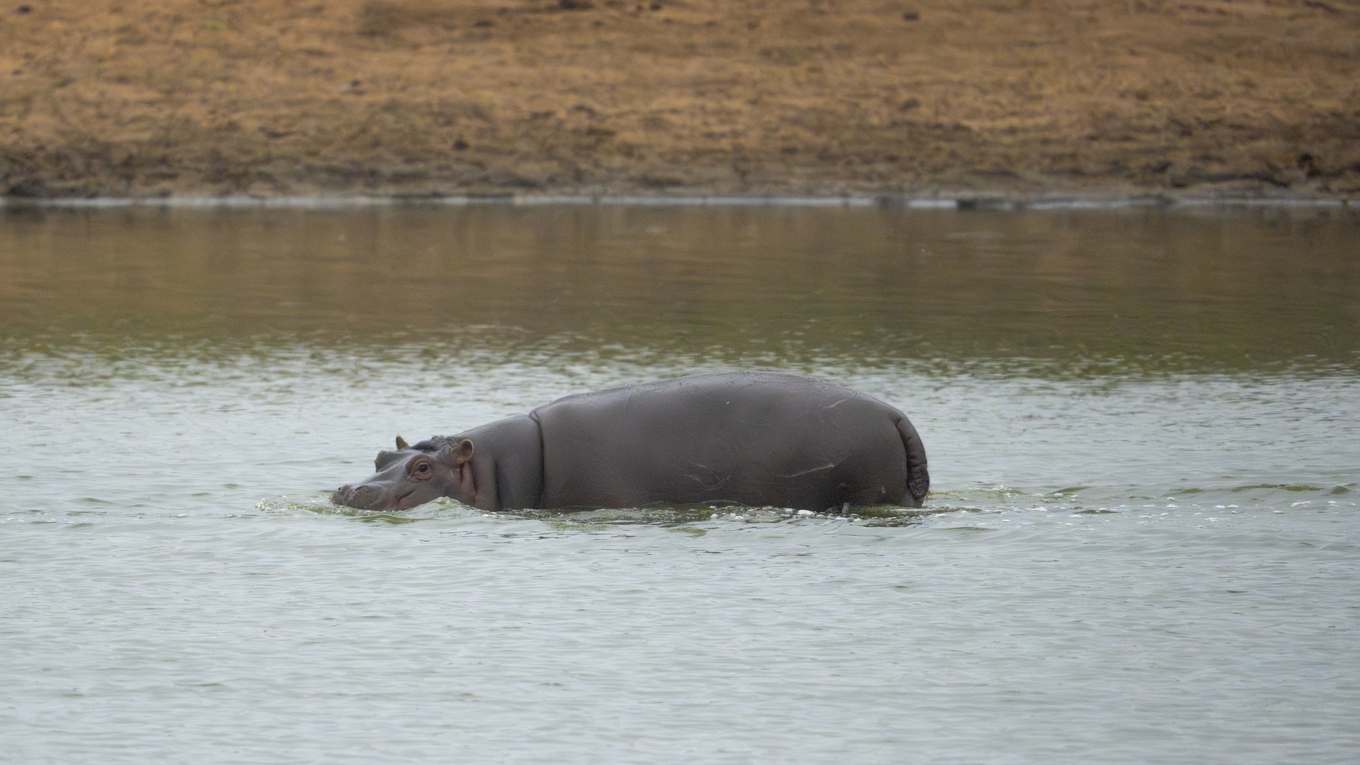 Kruger25 2025 10 30 13 13 30 ILCE 1M2 668